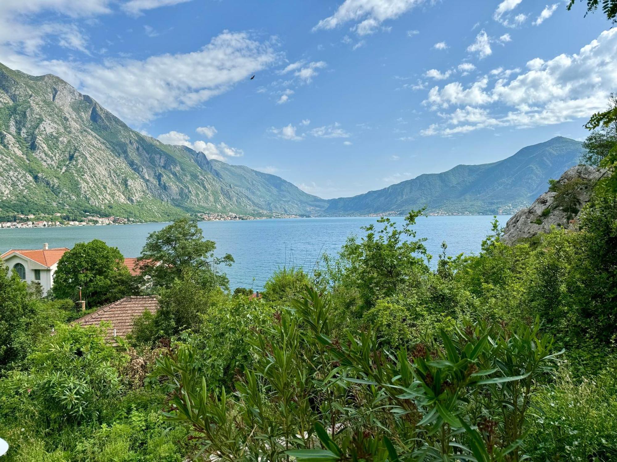 Olea Apartments Orahovac Cattaro Esterno foto